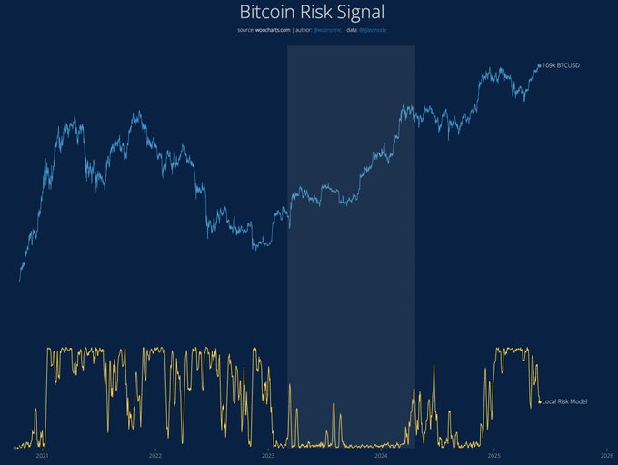 Tín hiệu rủi ro Bitcoin. Nguồn: Willy Woo