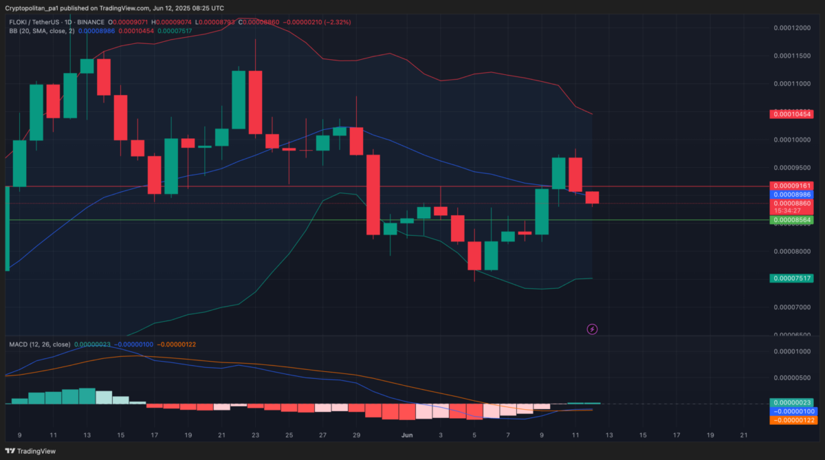 Biểu đồ giá FLOKI/USDT ngày 12/06 – Nguồn: CoinMarketCap