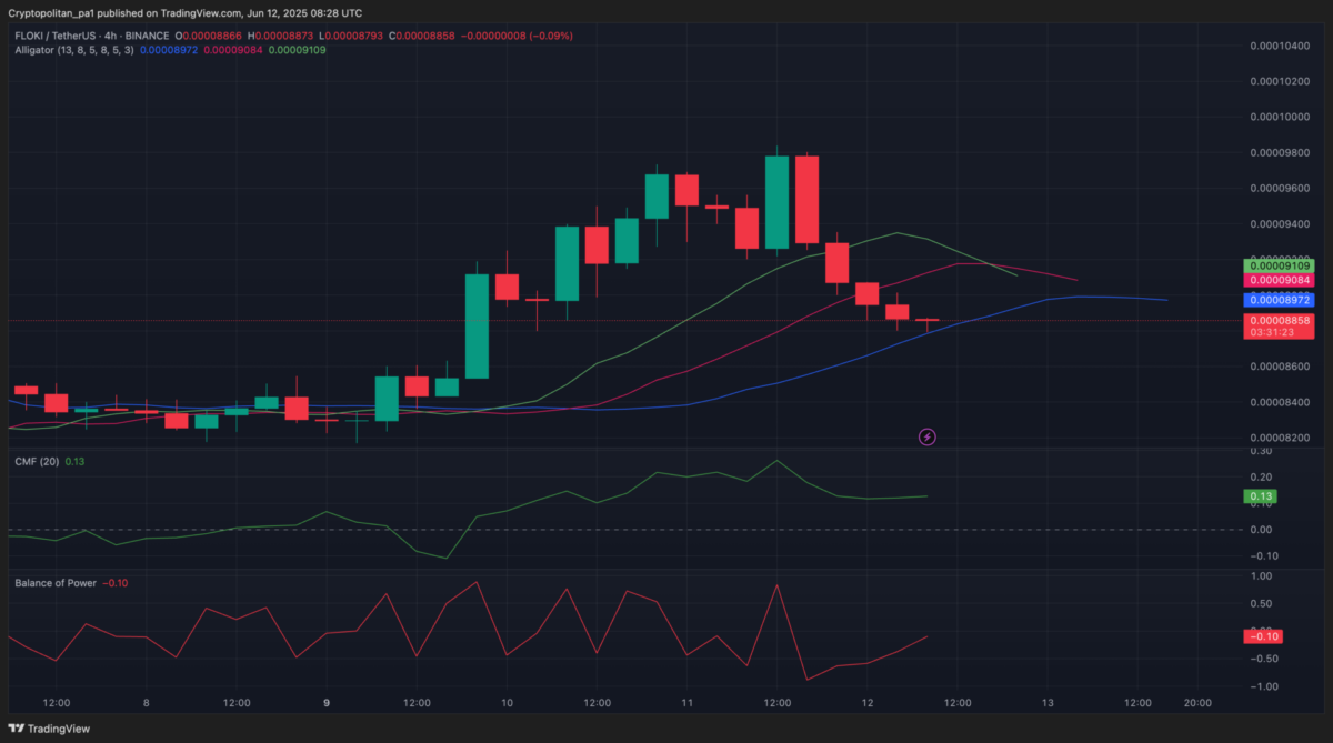 Xu hướng giá FLOKI 4 giờ – Dữ liệu TradingView