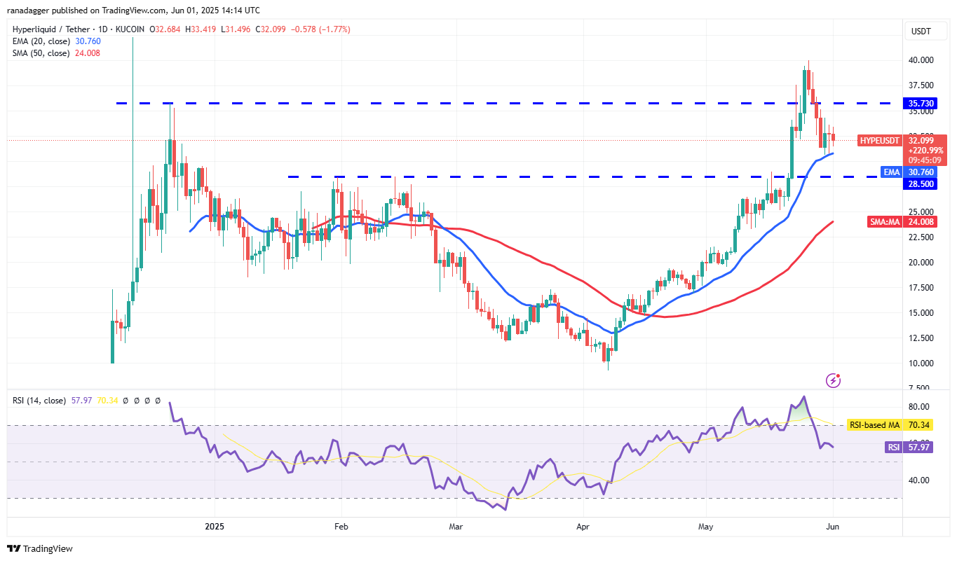 Biểu đồ HYPE/USDT hàng ngày. Nguồn: Cointelegraph/TradingView
