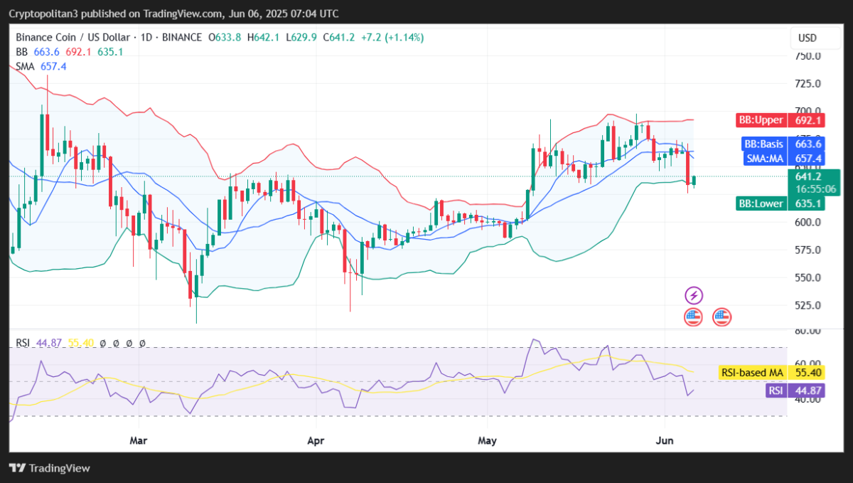 Biểu đồ giá BNB/USDT (1 ngày)