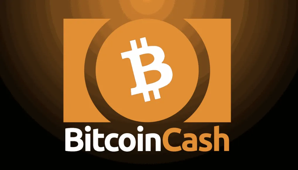 Bitcoin Cash được tạo ra từ một nhánh fork của blockchain Bitcoin