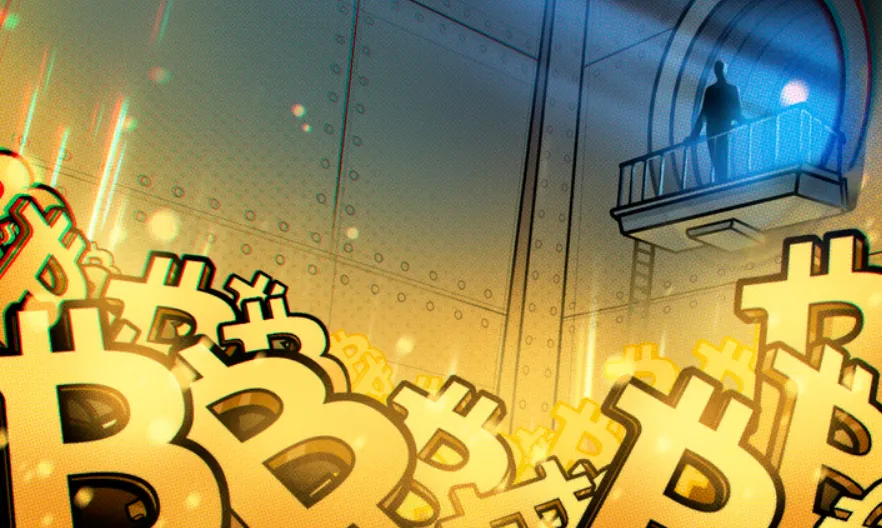 Các nhà đầu tư Bitcoin dài hạn tích lũy 800.000 BTC mỗi tháng