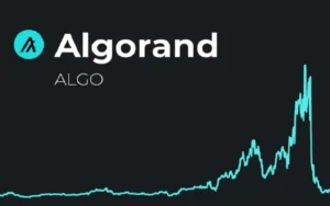 Dự đoán giá Algorand 2025-2031 - Liệu ALGO có sự hồi sinh?