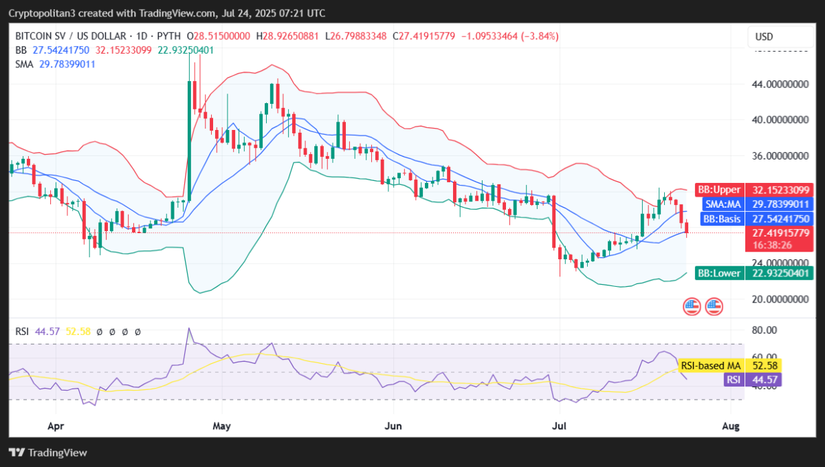 Biểu đồ khung ngày của Bitcoin SV