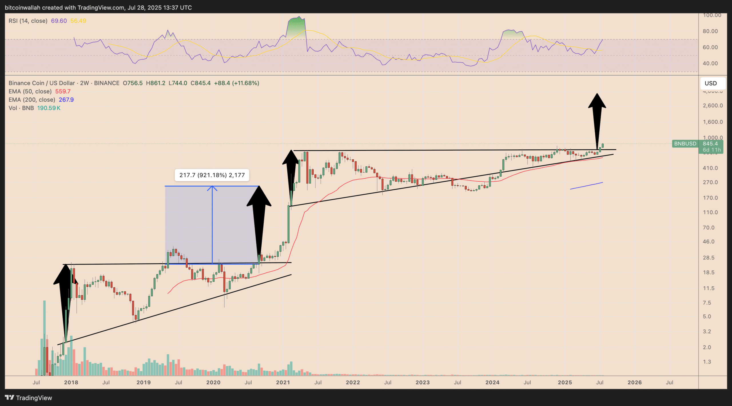 Biểu đồ giá BNB/USD hai tuần. Nguồn: TradingView