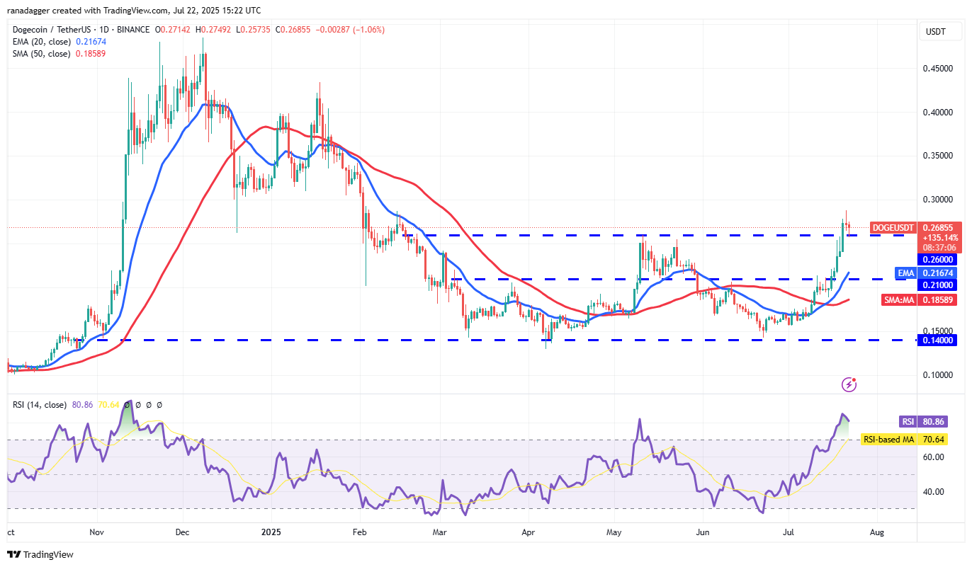 Biểu đồ hàng ngày DOGE/USDT