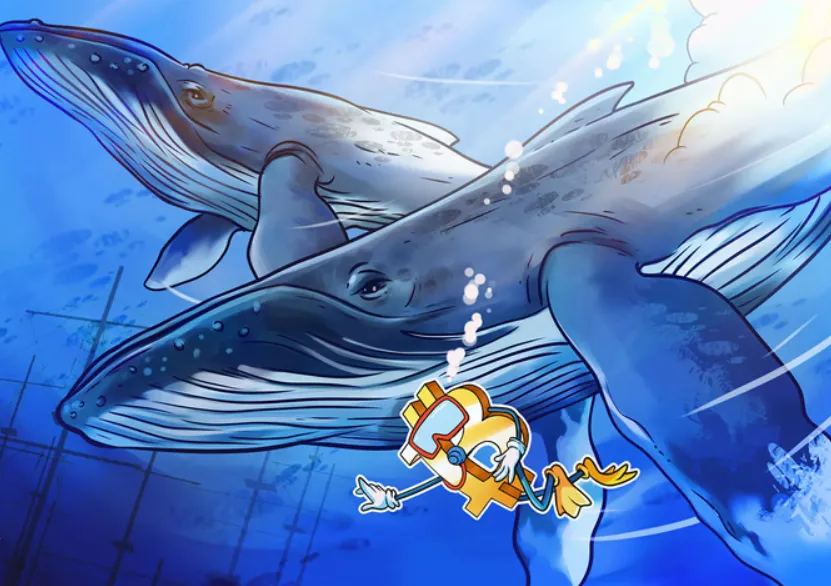 Cá voi Bitcoin khổng lồ dịch chuyển 4,7 tỷ đô la BTC sang ví mới