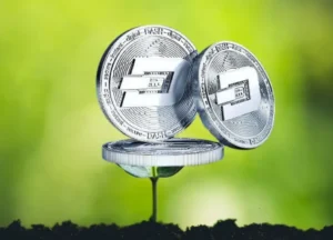 Dự đoán giá Dash 2025-2031: Liệu DASH có sớm phục hồi?