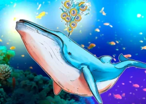 Không có dấu hiệu bán tháo từ cá voi Bitcoin “thức tỉnh” sau hơn 14 năm