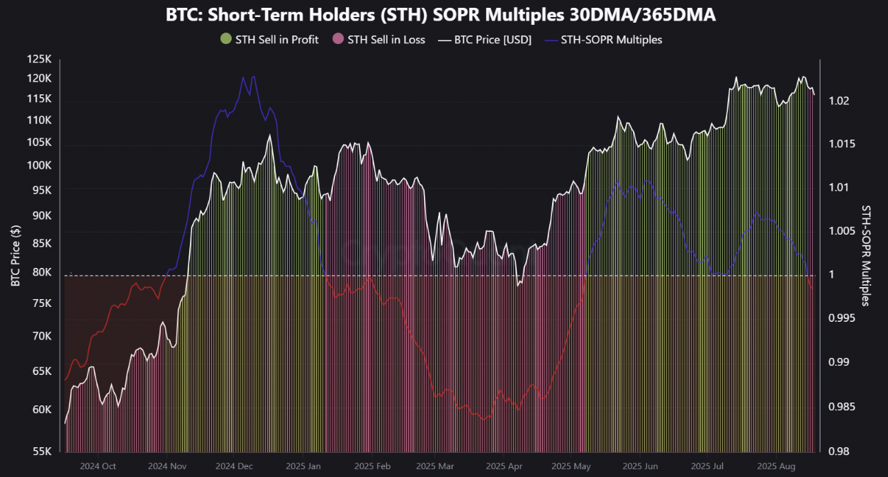 Chỉ số STH SOPR (trung bình động 30 ngày / 365 ngày). Nguồn: CryptoQuant