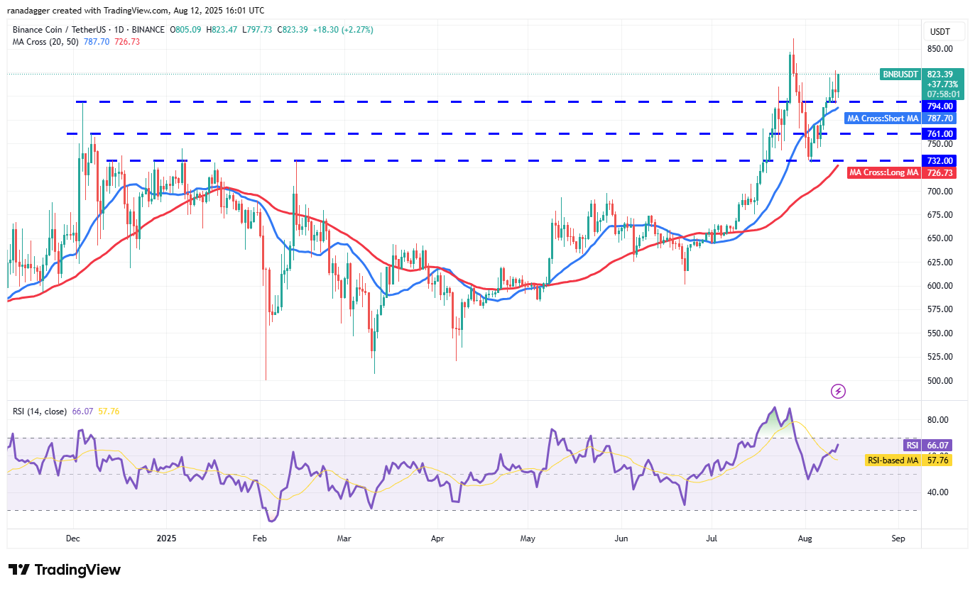 Biểu đồ hàng ngày của BNB/USDT. Nguồn: Cointelegraph/TradingView