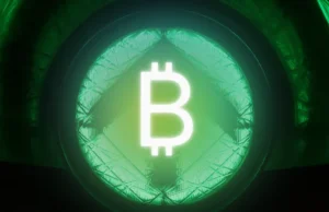 Cá voi trên sàn Bitfinex vẫn gom 300 BTC mỗi ngày dù Bitcoin giảm giá