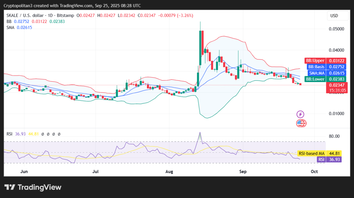 Biểu đồ khung ngày SKALE