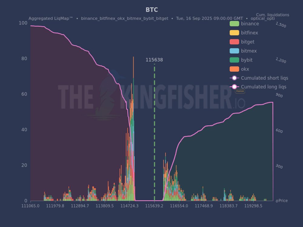 Các mức thanh lý trên sổ lệnh của BTC. Nguồn: TheKingfisher/X