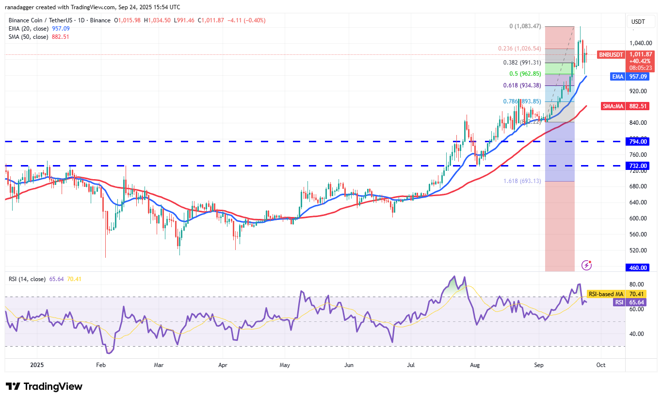 Biểu đồ hàng ngày BNB/USDT. Nguồn: Cointelegraph/TradingView