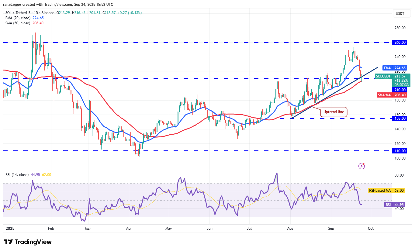 Biểu đồ hàng ngày SOL/USDT. Nguồn: Cointelegraph/TradingView