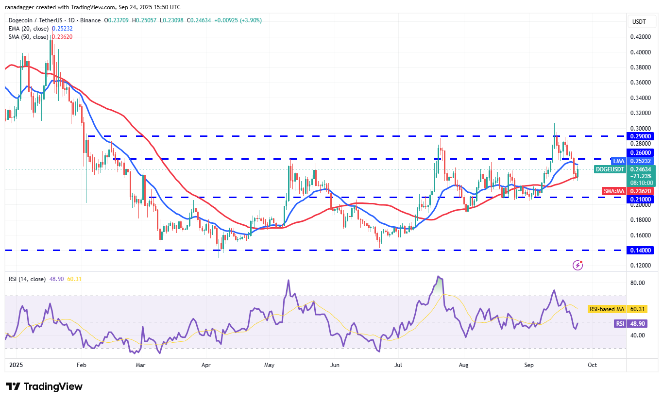 Biểu đồ hàng ngày DOGE/USDT. Nguồn: Cointelegraph/TradingView