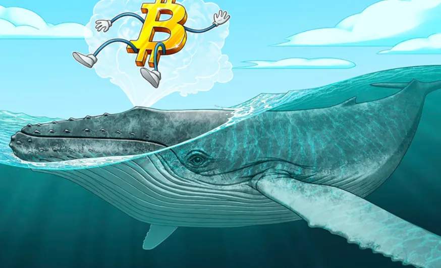 Cá voi Bitcoin bán tháo 115.000 BTC trong đợt bán tháo lớn nhất kể từ giữa năm 2022