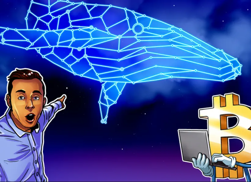 Cá voi Bitcoin lại ‘bán tháo’ khi BTC chững lại ở mức 116 nghìn đô la