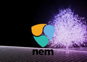 Dự đoán giá NEM 2025-2031: NEM có phải là một khoản đầu tư tốt?