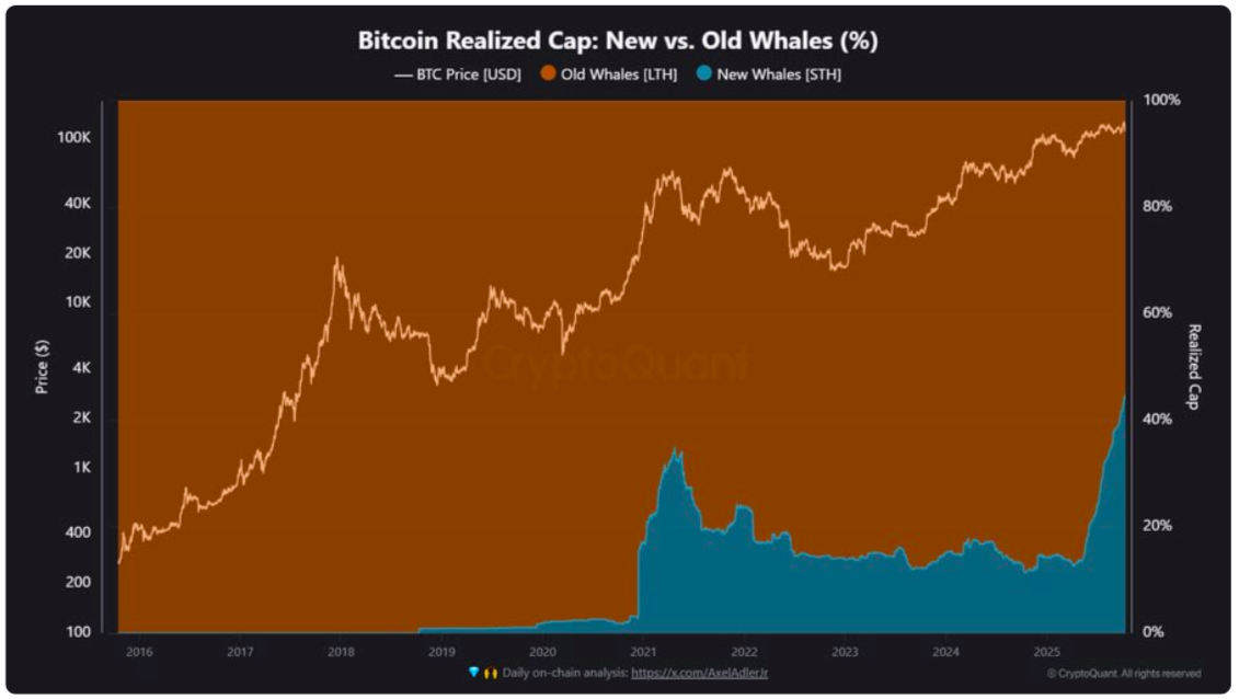 Cá voi Bitcoin đã nhận ra quyền sở hữu vốn hóa (ảnh chụp màn hình). Nguồn: CryptoQuant