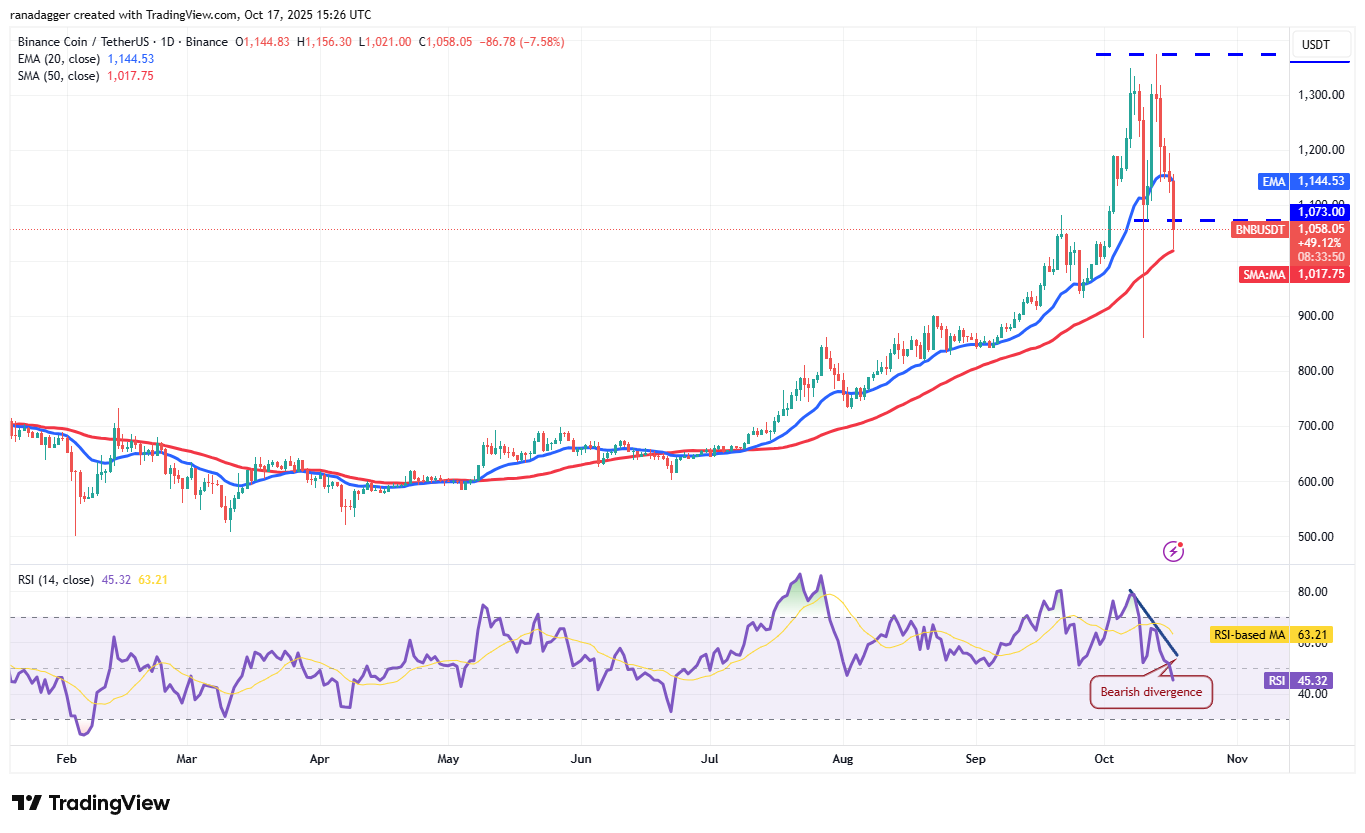 Biểu đồ hàng ngày BNB/USDT