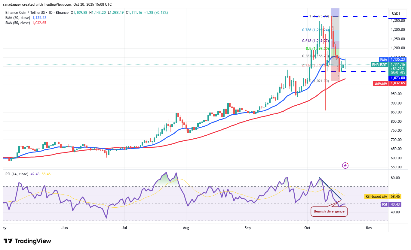 Biểu đồ ngày của BNB/USDT