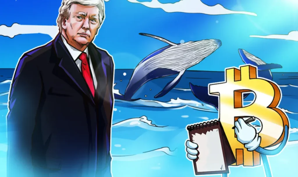 Cá voi Bitcoin vào lệnh Short BTC đòn bẩy 40 lần trước thềm thông báo của Trump