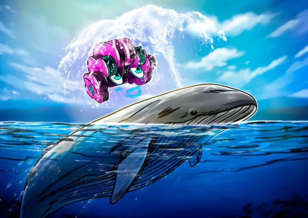 Cách sử dụng AI để phát hiện chuyển động ví cá voi trước đám đông