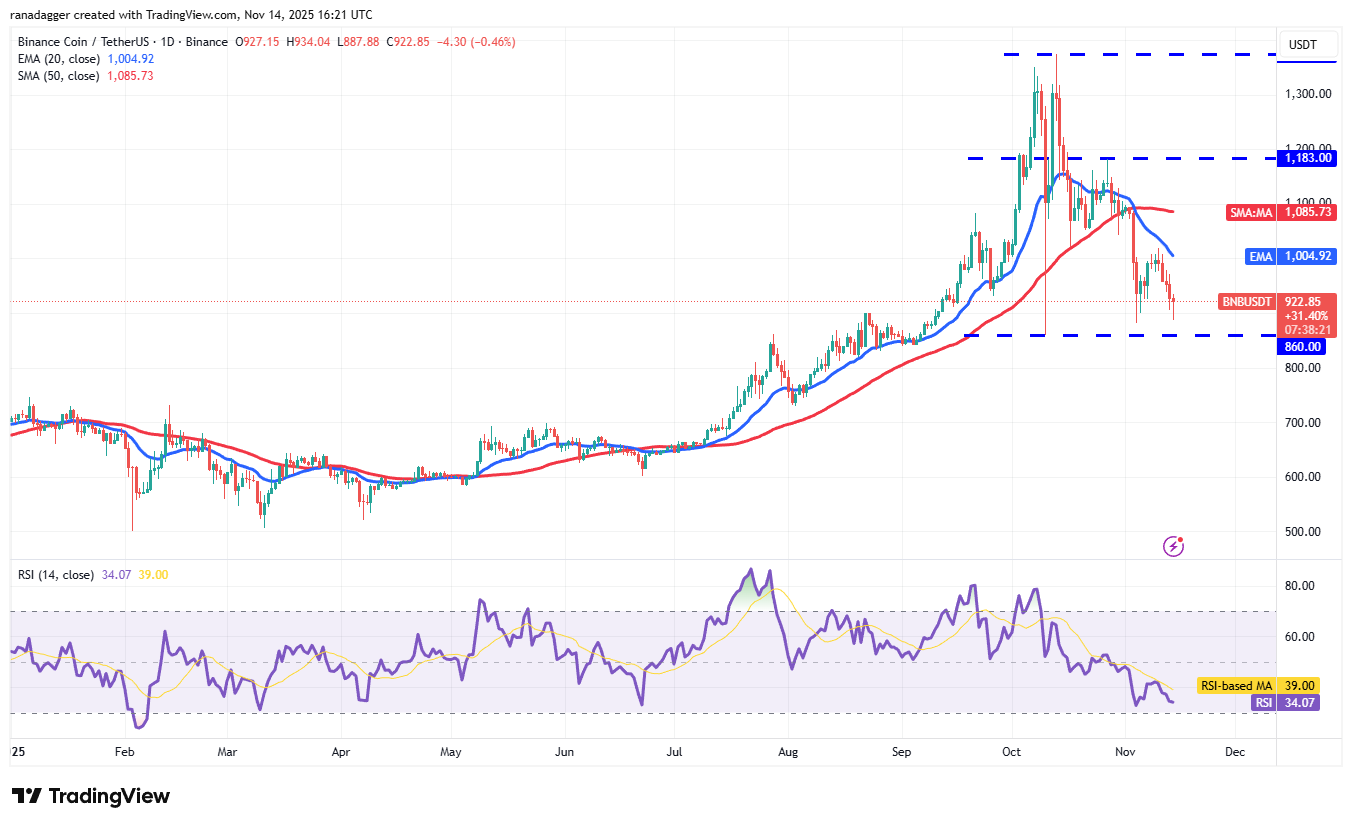 Biểu đồ hàng ngày BNB/USDT