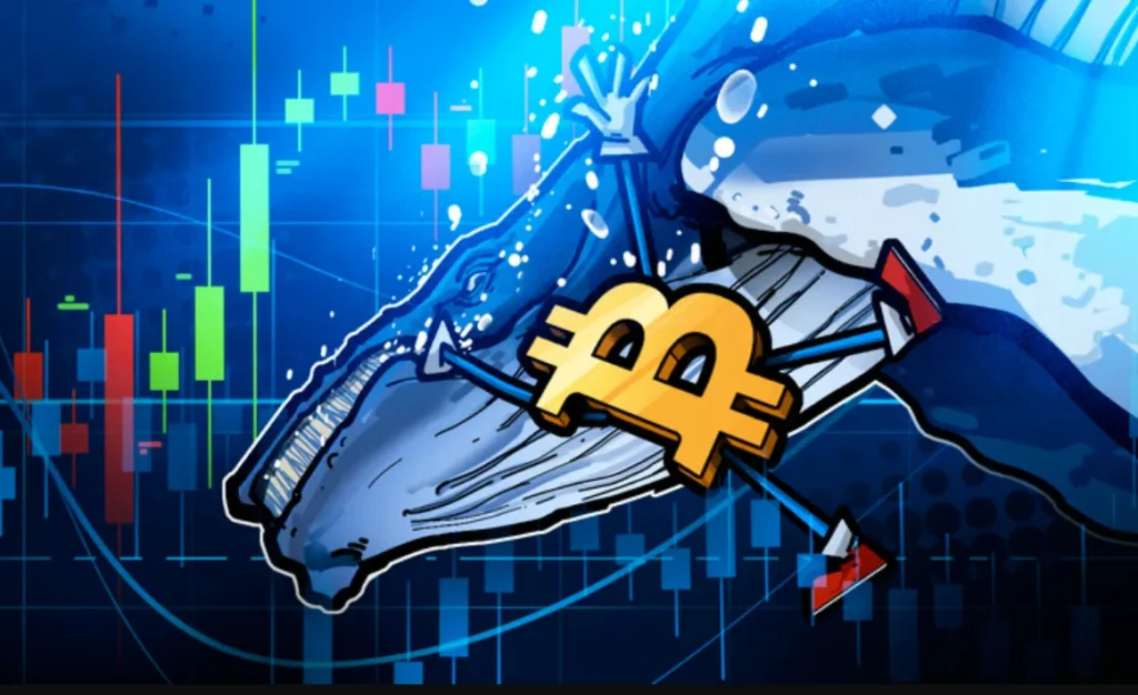 Cá voi Bitcoin OG tiếp tục ‘chốt lời’, đe dọa giá BTC giảm xuống 90.000$